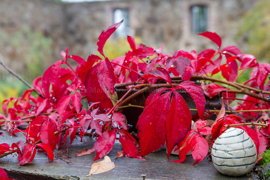 Foto: Farbenfrohe Herbstfärbung